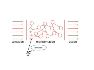 sensation representation action
“chicken”
 