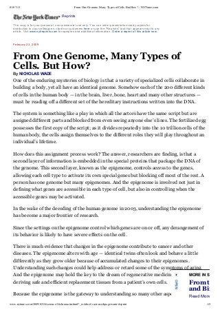 01/07/13 From One Genome, Many Types of Cells. But How? - NYTimes.com
www.nytimes.com/2009/02/24/science/24chromatin.html?_r=4&ref=science&pagewanted=print 1/5
Reprints
This copy is for your personal, noncommercial use only. You can order presentation­ready copies for
distribution to your colleagues, clients or customers here or use the "Reprints" tool that appears next to any
article. Visit www.nytreprints.com for samples and additional information. Order a reprint of this article now.
February 23, 2009
From One Genome, Many Types of
Cells. But How?
By NICHOLAS WADE
One of the enduring mysteries of biology is that a variety of specialized cells collaborate in
building a body, yet all have an identical genome. Somehow each of the 200 different kinds
of cells in the human body — in the brain, liver, bone, heart and many other structures —
must be reading off a different set of the hereditary instructions written into the DNA.
The system is something like a play in which all the actors have the same script but are
assigned different parts and blocked from even seeing anyone else’s lines. The fertilized egg
possesses the first copy of the script; as it divides repeatedly into the 10 trillion cells of the
human body, the cells assign themselves to the different roles they will play throughout an
individual’s lifetime.
How does this assignment process work? The answer, researchers are finding, is that a
second layer of information is embedded in the special proteins that package the DNA of
the genome. This second layer, known as the epigenome, controls access to the genes,
allowing each cell type to activate its own special genes but blocking off most of the rest. A
person has one genome but many epigenomes. And the epigenome is involved not just in
defining what genes are accessible in each type of cell, but also in controlling when the
accessible genes may be activated.
In the wake of the decoding of the human genome in 2003, understanding the epigenome
has become a major frontier of research.
Since the settings on the epigenome control which genes are on or off, any derangement of
its behavior is likely to have severe effects on the cell.
There is much evidence that changes in the epigenome contribute to cancer and other
diseases. The epigenome alters with age — identical twins often look and behave a little
differently as they grow older because of accumulated changes to their epigenomes.
Understanding such changes could help address or retard some of the symptoms of aging.
And the epigenome may hold the key to the dream of regenerative medicine, that of
deriving safe and efficient replacement tissues from a patient’s own cells.
Because the epigenome is the gateway to understanding so many other aspects of the cell’s
MORE IN SCIENC
From the M
and Birds
Read More »
 