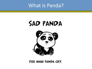 What is Panda?
 
