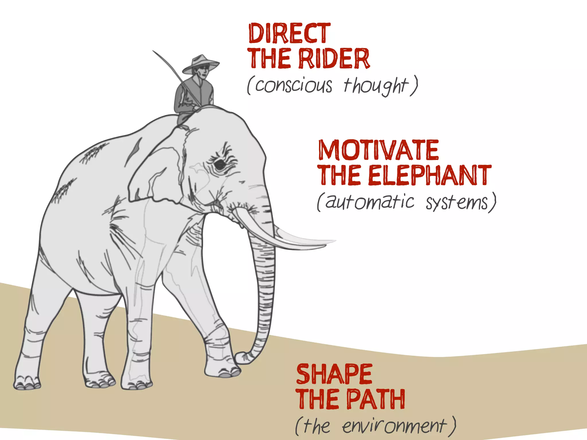 DIRECT
THE RIDER
(conscious thought)
MOTIVATE
THE ELEPHANT
(automatic systems)
SHAPE
THE PATH
(the environment)
 