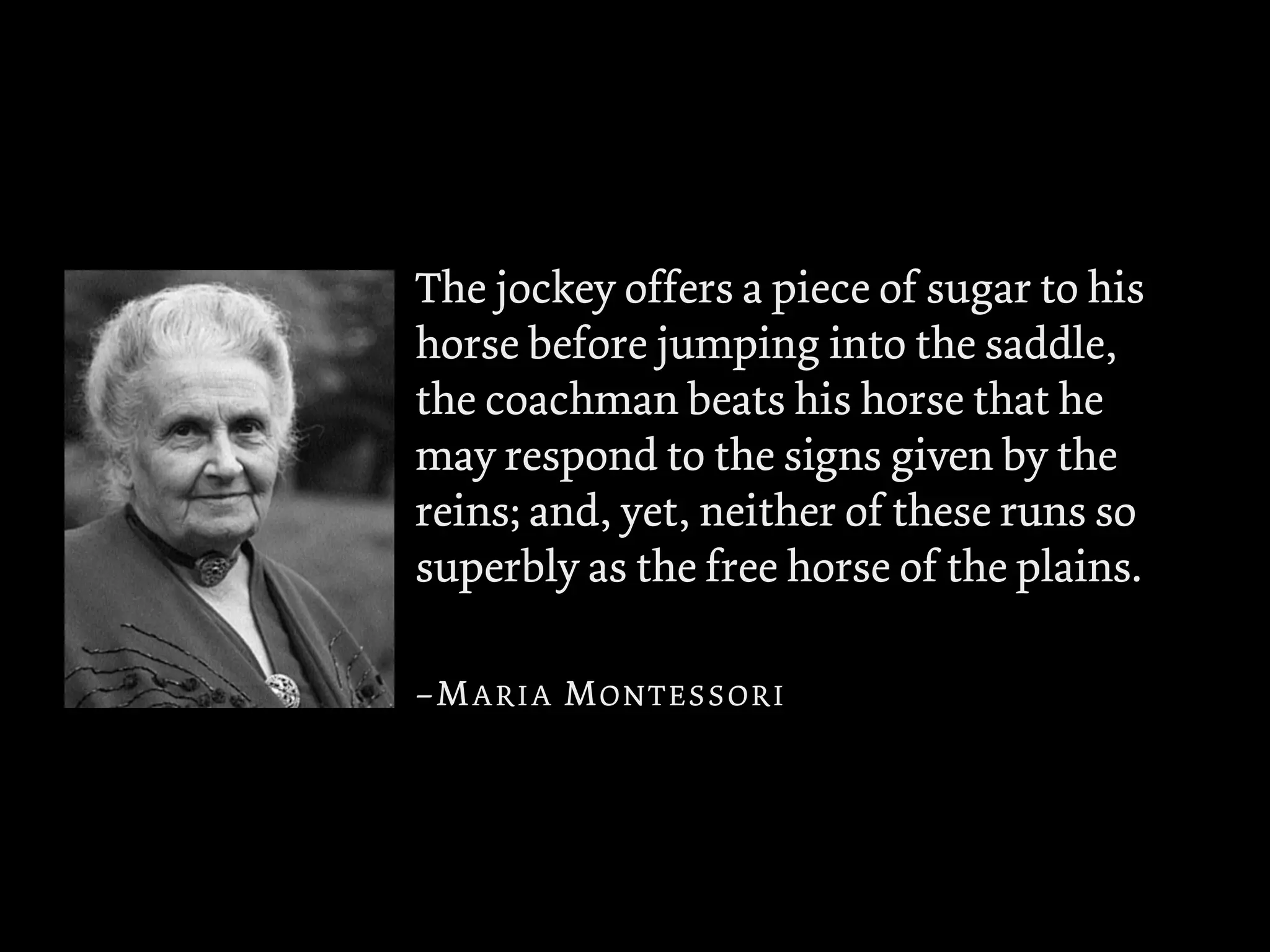 The jockey offers a piece of sugar to his
horse before jumping into the saddle,
the coachman beats his horse that he
may respond to the signs given by the
reins; and, yet, neither of these runs so
superbly as the free horse of the plains.
–MARIA MONTESSORI
 
