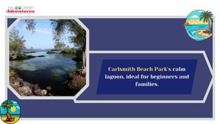 Carlsmith Beach Park's calm
lagoon, ideal for beginners and
families.
 