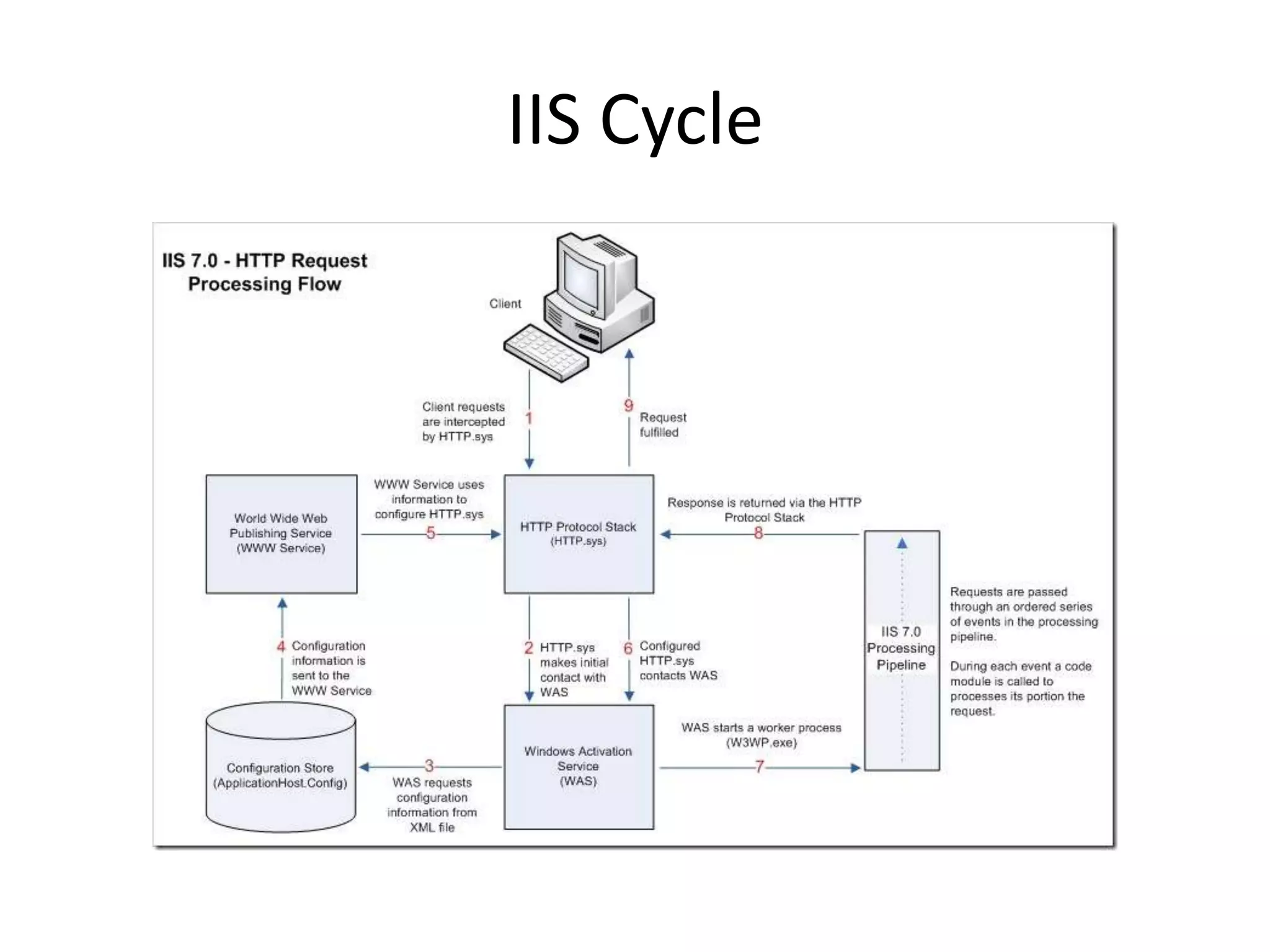 IIS Cycle