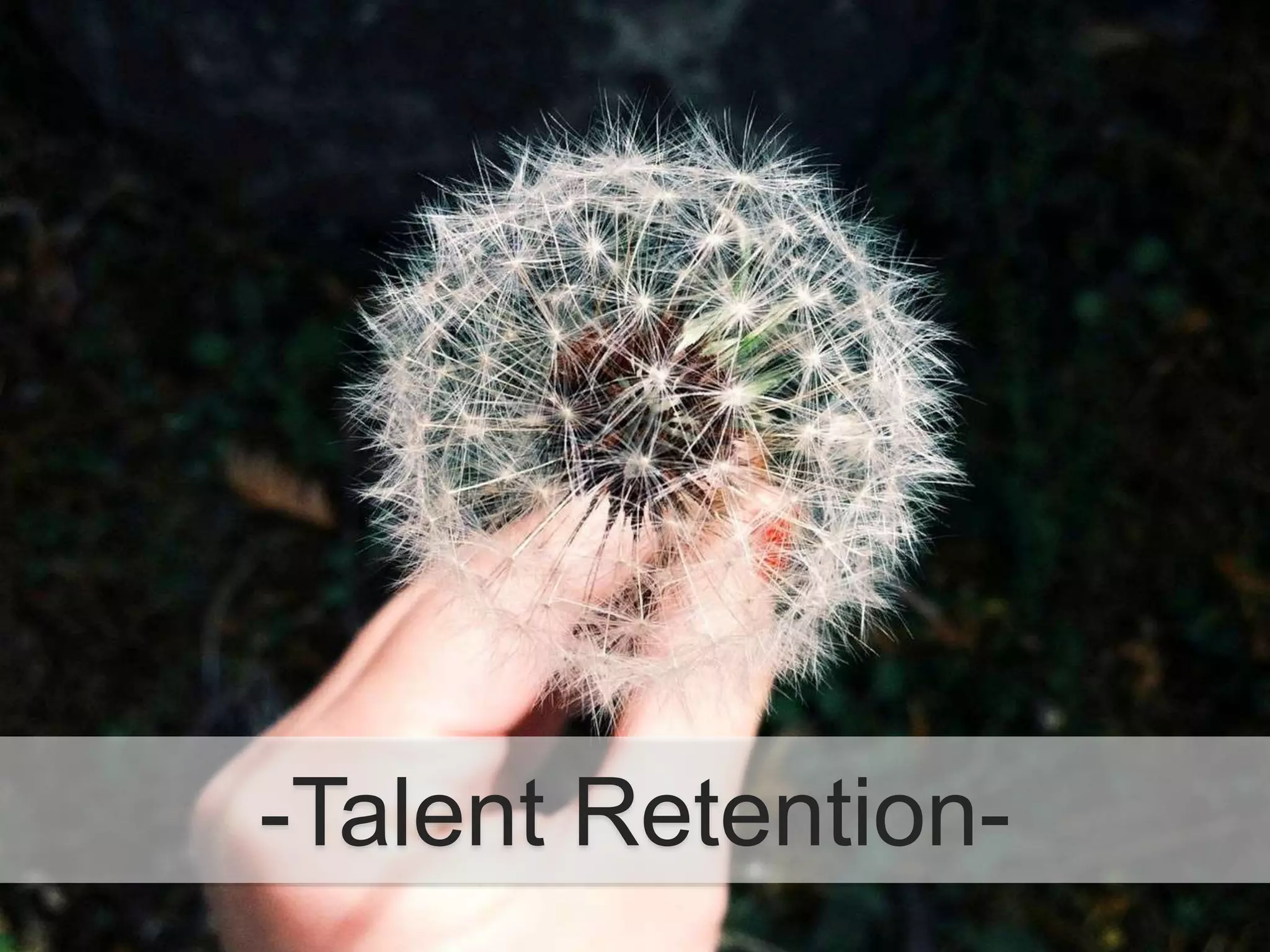-Talent Retention-
 