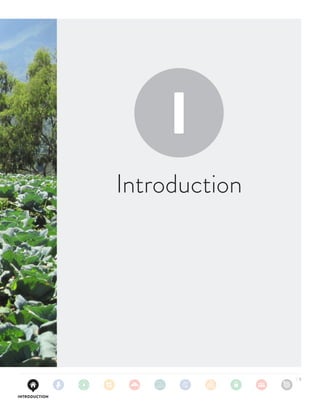 Implementing the Principles for Digital Development | PDF