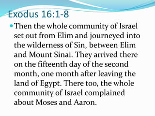 Exodus 16:1-8
Then the whole community of Israel
set out from Elim and journeyed into
the wilderness of Sin, between Elim
and Mount Sinai. They arrived there
on the fifteenth day of the second
month, one month after leaving the
land of Egypt. There too, the whole
community of Israel complained
about Moses and Aaron.
 