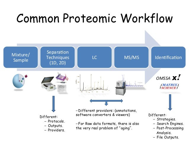 proteomics workflow standarization in proteomics from data to metadata files proteomics workflow standarization in proteomics from data to metadata files