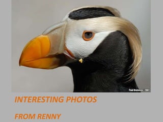INTERESTING PHOTOS From renny 