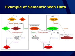 Example of Semantic Web Data