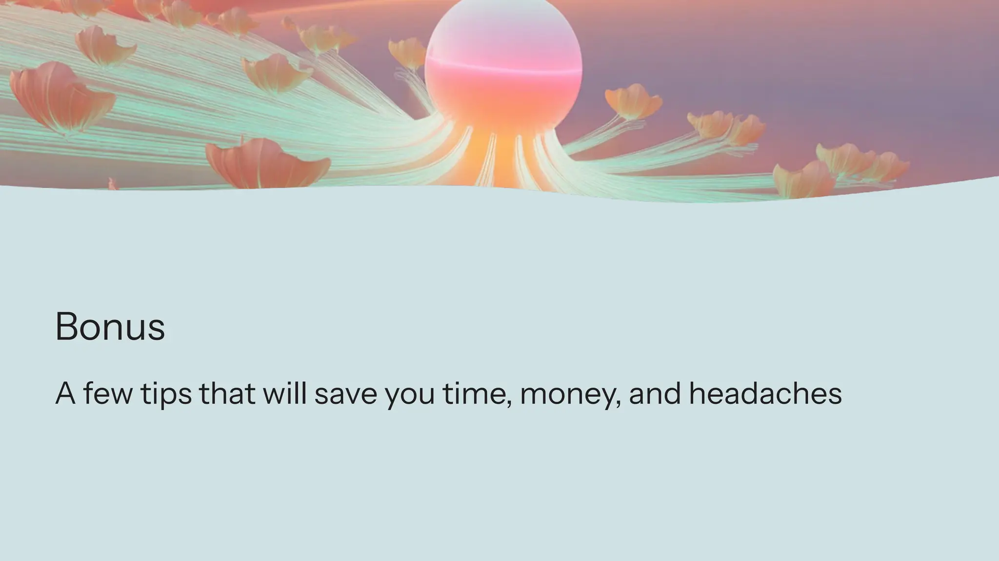 Bonus
A few tips that will save you time, money, and headaches
 