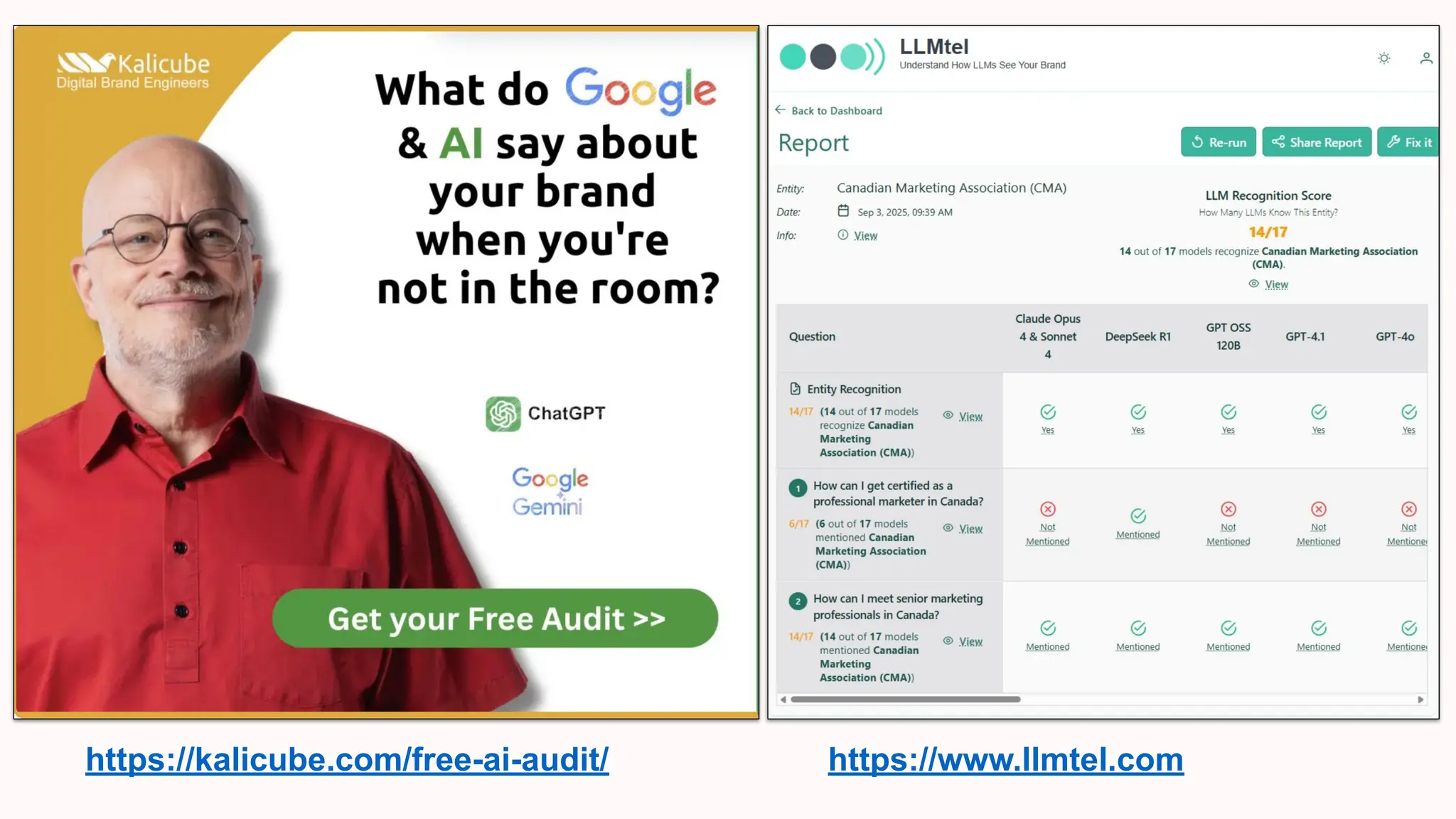 https://kalicube.com/free-ai-audit/ https://www.llmtel.com
 