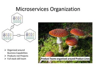 Microservices Organization
 Organized around
Business Capabilities
 Products not Projects
 Full stack skill team
 