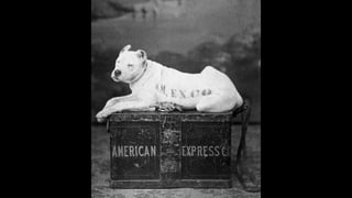 From Startup to Stable
 