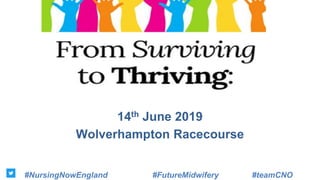 14th June 2019
Wolverhampton Racecourse
#NursingNowEngland #FutureMidwifery #teamCNO
 