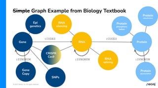 © 2023 Neo4j, Inc. All rights reserved.
Simple Graph Example from Biology Textbook
RNA
Gene Protein
:CODES :CODES
:SYNONYM :SYNONYM :SYNONYM
Gene
Copy
Epi
genetics
RNA
silencing
CRISPR
Cas9
SNPs
RNA
splicing
Protein
glycosylation
Protein
phosphory
lation
Protein
ubiquitination
 