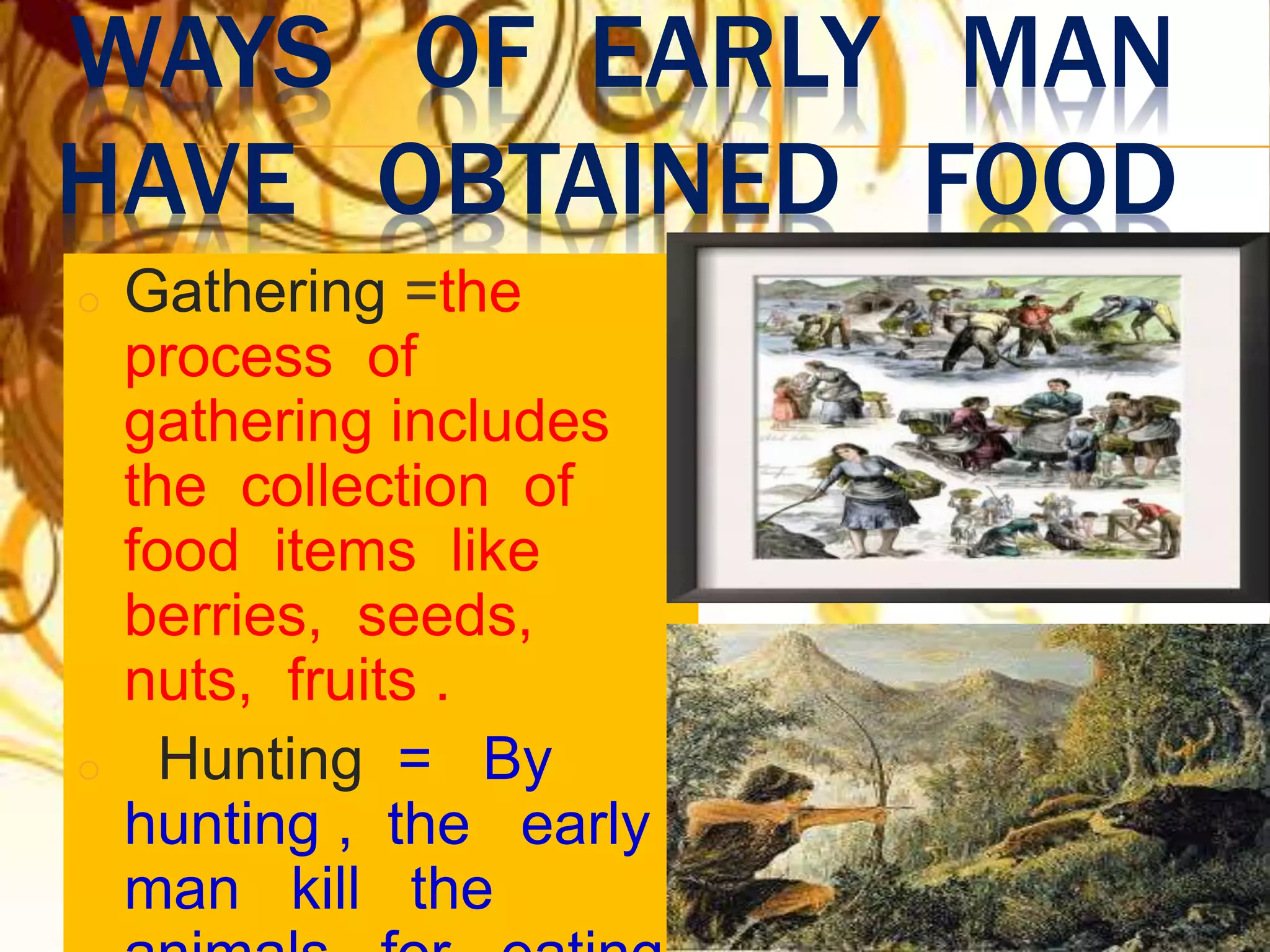 WAYS OF EARLY MAN
HAVE OBTAINED FOOD
o Gathering =the
process of
gathering includes
the collection of
food items like
berries, seeds,
nuts, fruits .
o Hunting = By
hunting , the early
man kill the
 