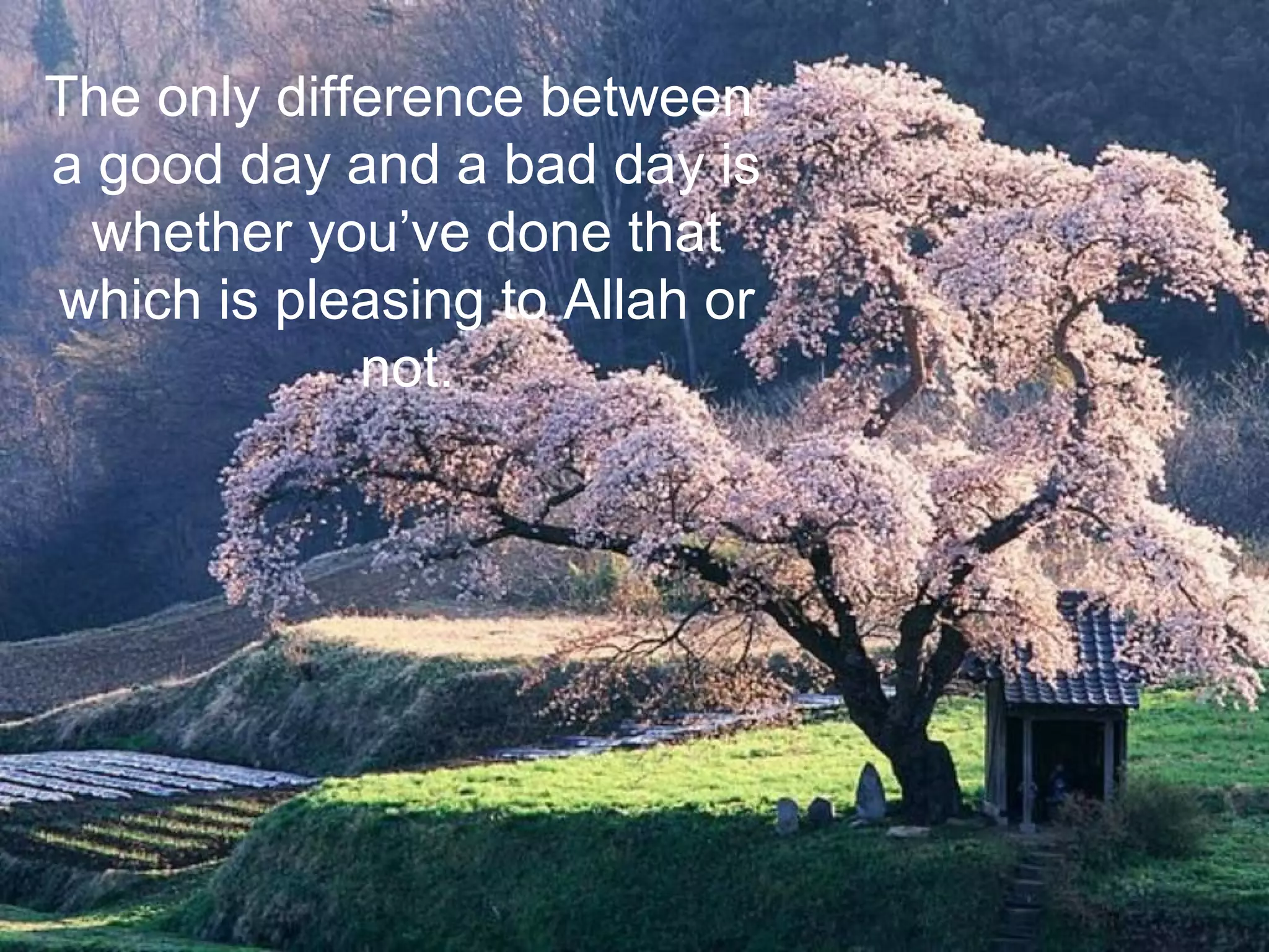 The only difference between
a good day and a bad day is
whether you’ve done that
which is pleasing to Allah or
not.
 