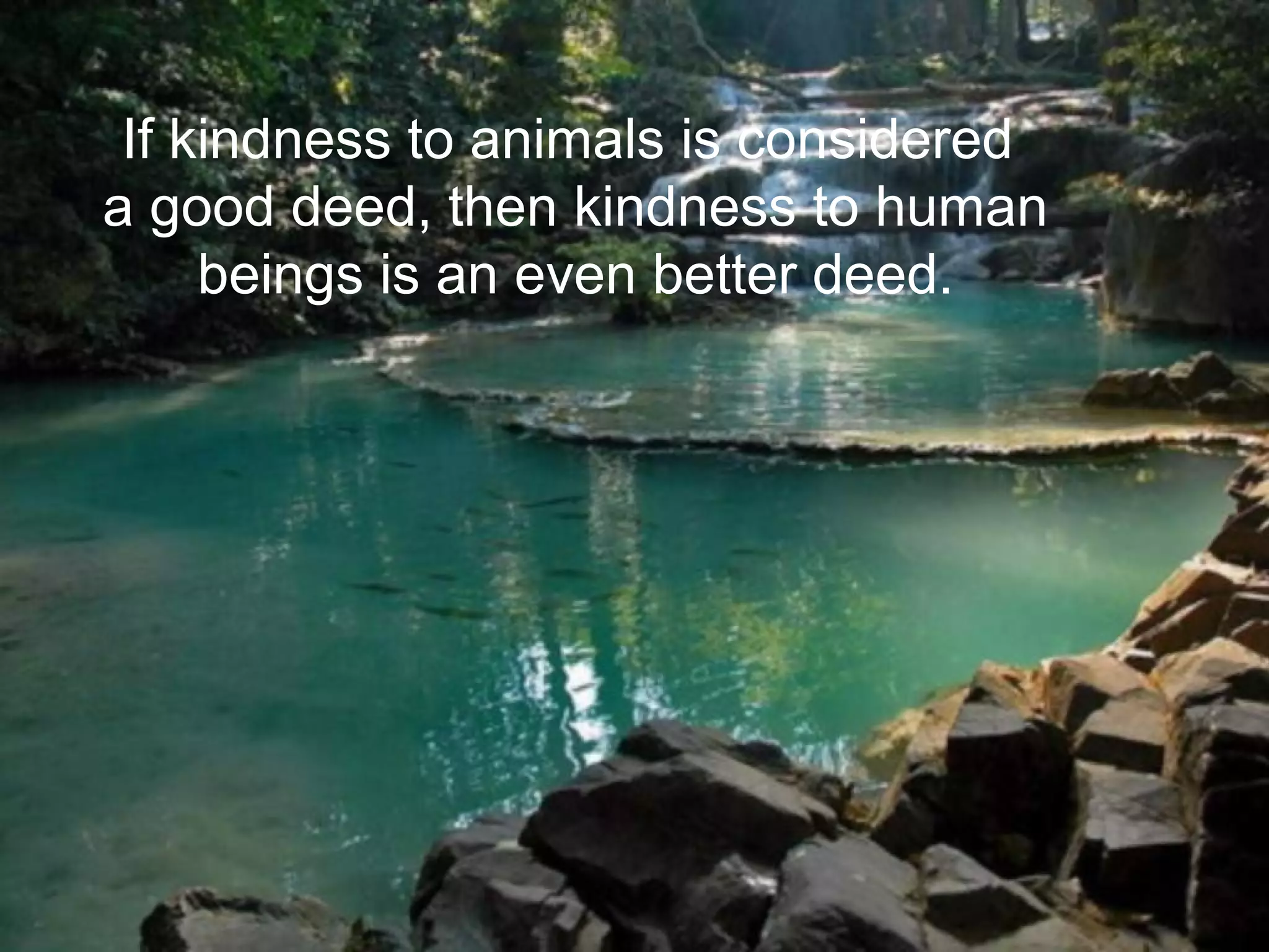 If kindness to animals is considered
a good deed, then kindness to human
beings is an even better deed.
 