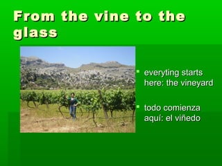 From the vine to the
glass

               everyting starts
                here: the vineyard

               todo comienza
                aquí: el viñedo
 
