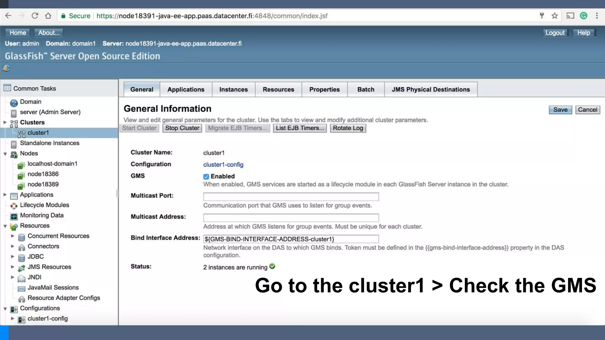 Go to the cluster1 > Check the GMS
 