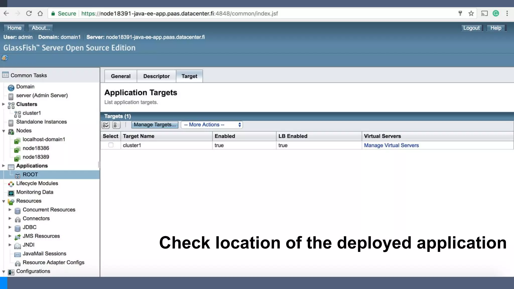 Check location of the deployed application
 