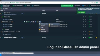 Log in to GlassFish admin panel
 