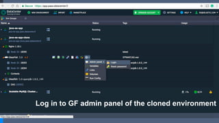 Log in to GF admin panel of the cloned environment
 