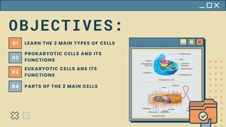 FILE PROKARYOTIC AND EUKARYOTIC CELLS.pdf