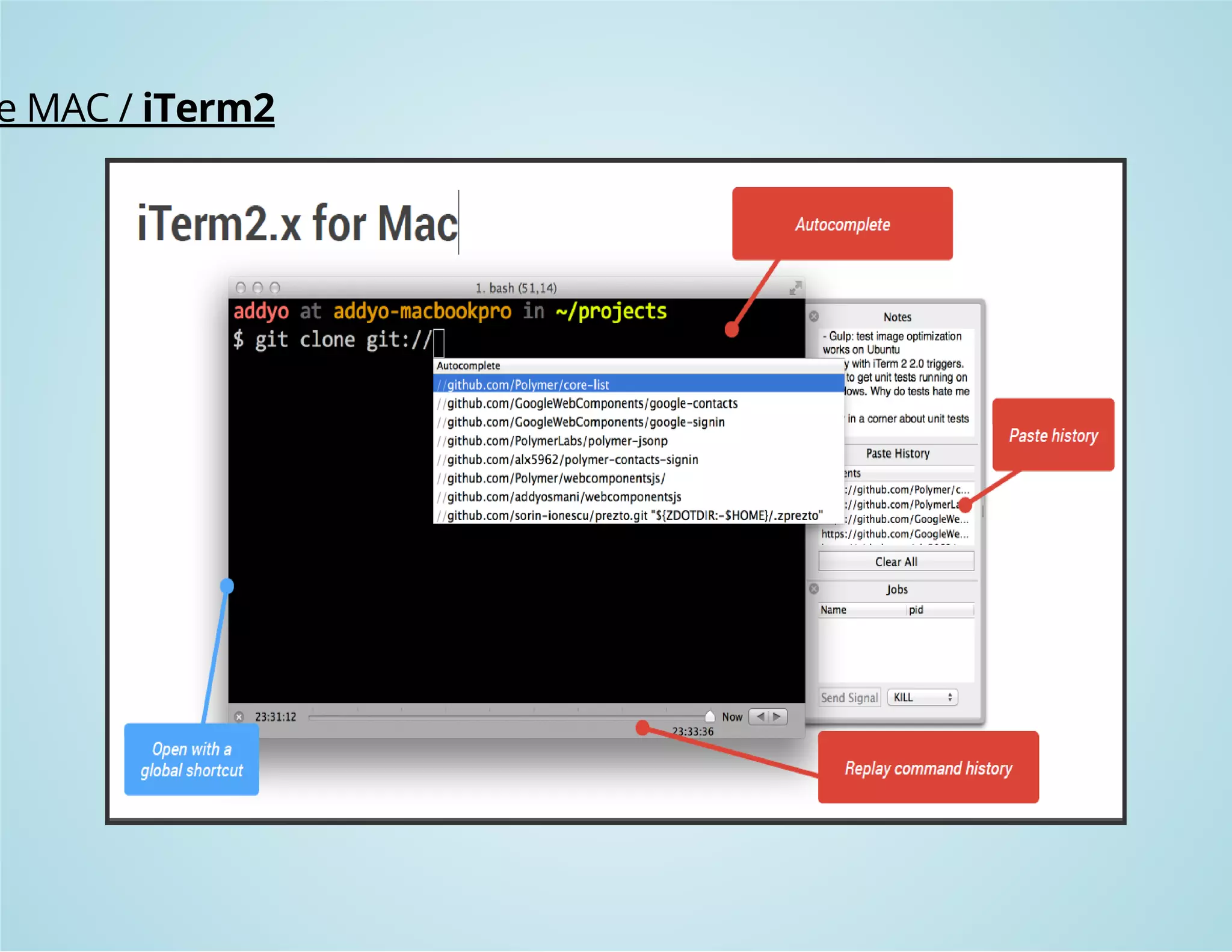 the MAC / iTerm2 
 