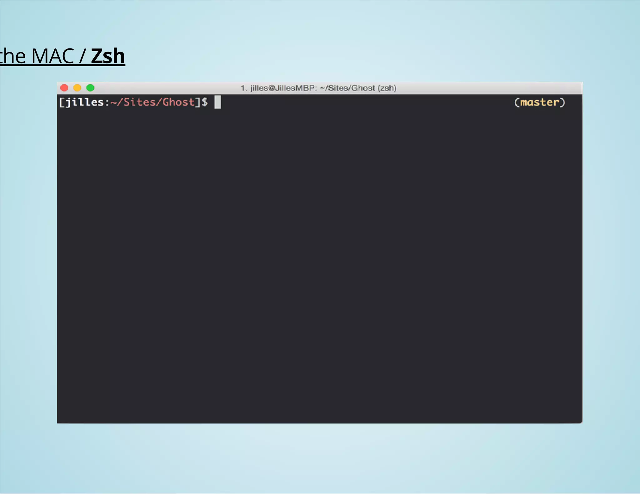 the MAC / Zsh 
 