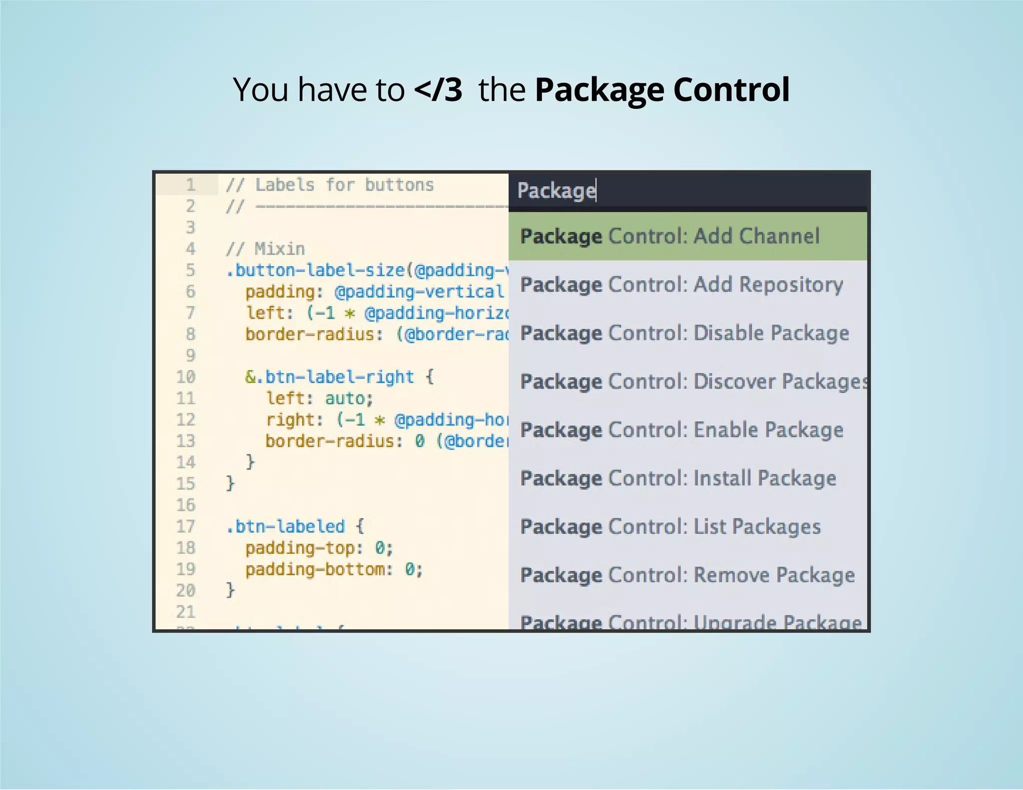 You have to </3 the Package Control 
 
