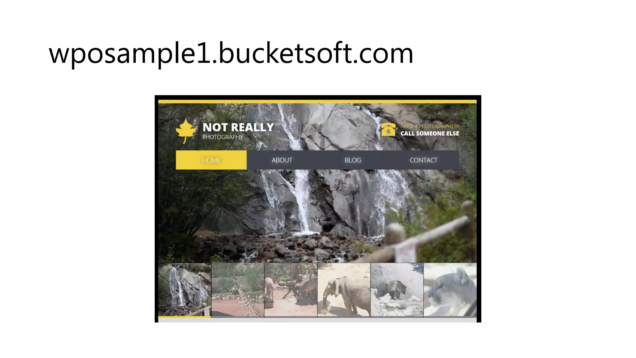 wposample1.bucketsoft.com 