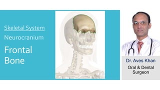 Frontal
Bone
Skeletal System
Neurocranium
Dr. Aves Khan
Oral & Dental
Surgeon
 