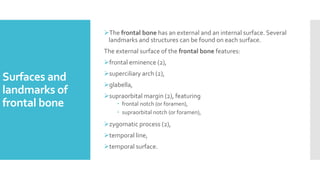 Surfaces and
landmarks of
frontal bone
The frontal bone has an external and an internal surface. Several
landmarks and structures can be found on each surface.
The external surface of the frontal bone features:
frontal eminence (2),
superciliary arch (2),
glabella,
supraorbital margin (2), featuring
 frontal notch (or foramen),
 supraorbital notch (or foramen),
zygomatic process (2),
temporal line,
temporal surface.
 