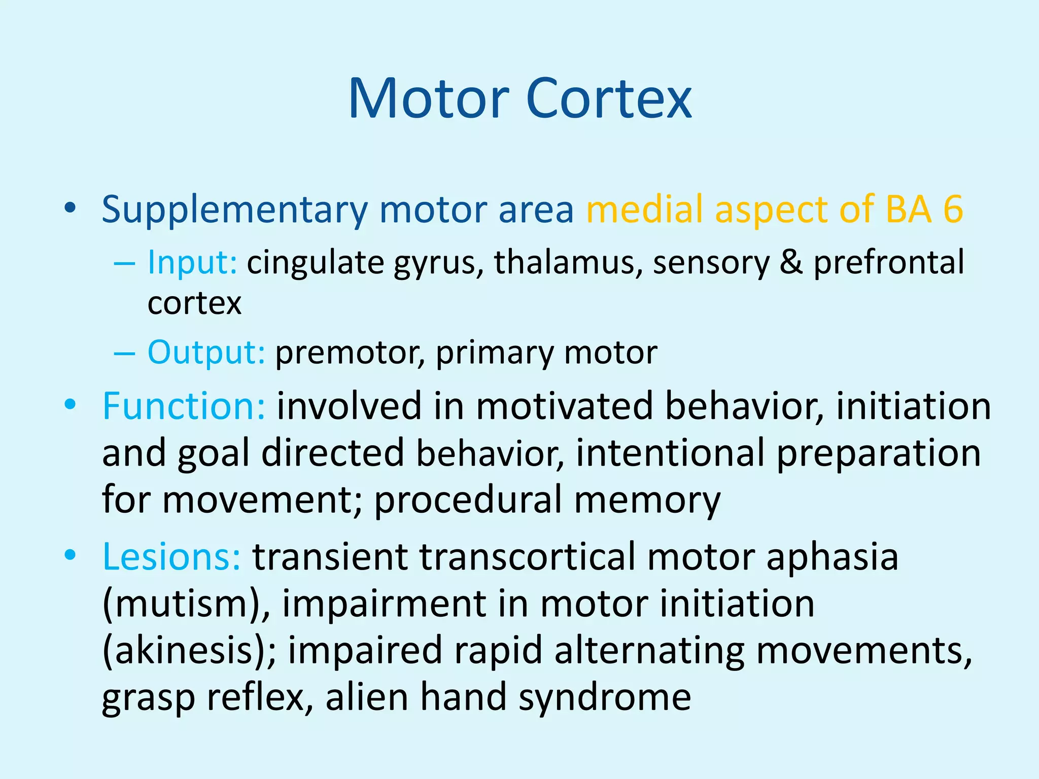 Motor Cortex
• Supplementary motor area medial aspect of BA 6
   – Input: cingulate gyrus, thalamus, sensory & prefrontal
     cortex
   – Output: premotor, primary motor
• Function: involved in motivated behavior, initiation
  and goal directed behavior, intentional preparation
  for movement; procedural memory
• Lesions: transient transcortical motor aphasia
  (mutism), impairment in motor initiation
  (akinesis); impaired rapid alternating movements,
  grasp reflex, alien hand syndrome
 