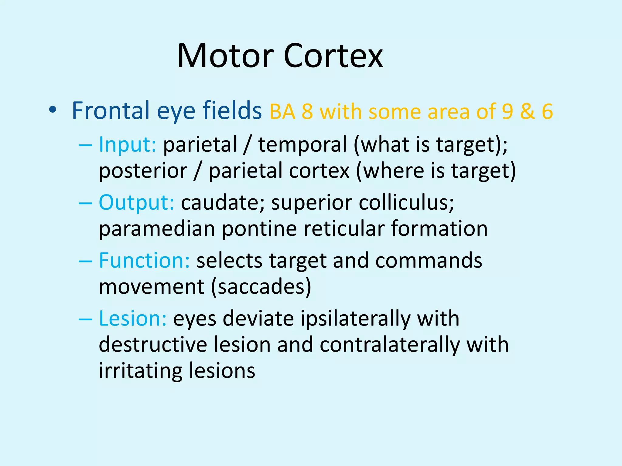 Motor Cortex
• Frontal eye fields BA 8 with some area of 9 & 6
   – Input: parietal / temporal (what is target);
     posterior / parietal cortex (where is target)
   – Output: caudate; superior colliculus;
     paramedian pontine reticular formation
   – Function: selects target and commands
     movement (saccades)
   – Lesion: eyes deviate ipsilaterally with
     destructive lesion and contralaterally with
     irritating lesions
 