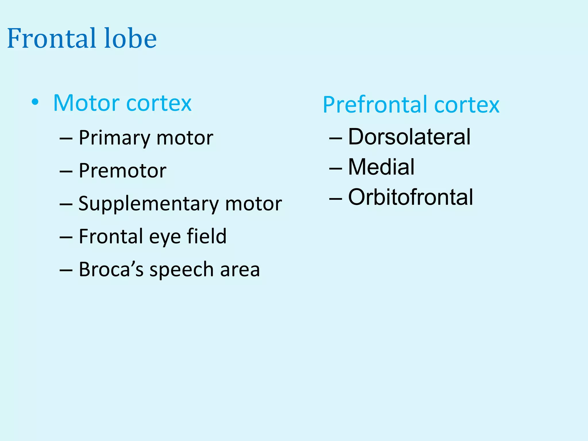 Frontal lobe

 • Motor cortex             Prefrontal cortex
    – Primary motor         – Dorsolateral
    – Premotor              – Medial
    – Supplementary motor   – Orbitofrontal
    – Frontal eye field
    – Broca’s speech area
 
