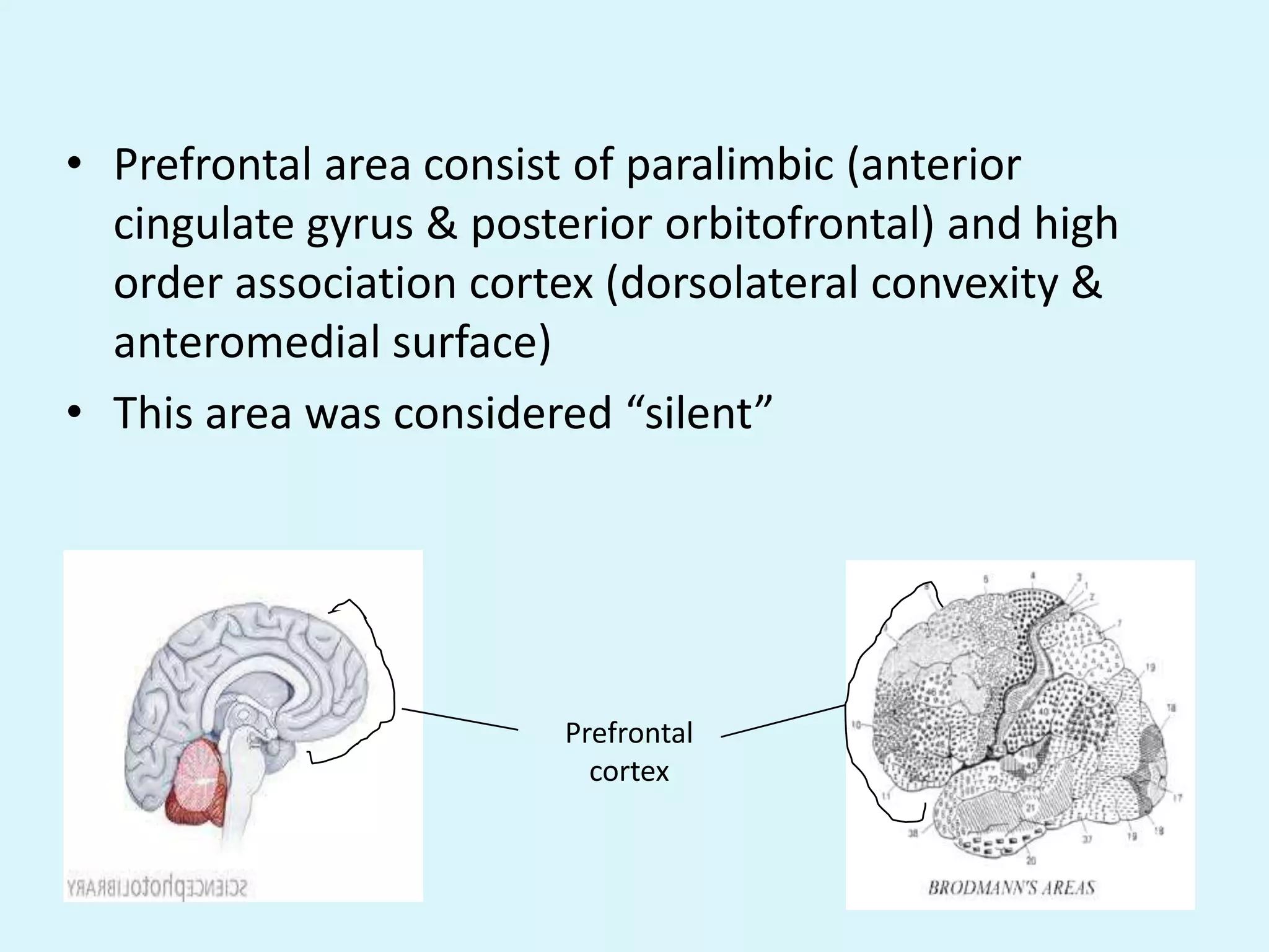 • Prefrontal area consist of paralimbic (anterior
  cingulate gyrus & posterior orbitofrontal) and high
  order association cortex (dorsolateral convexity &
  anteromedial surface)
• This area was considered “silent”




                         Prefrontal
                           cortex
 