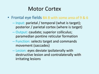 Motor Cortex
• Frontal eye fields BA 8 with some area of 9 & 6
   – Input: parietal / temporal (what is target);
     posterior / parietal cortex (where is target)
   – Output: caudate; superior colliculus;
     paramedian pontine reticular formation
   – Function: selects target and commands
     movement (saccades)
   – Lesion: eyes deviate ipsilaterally with
     destructive lesion and contralaterally with
     irritating lesions
 