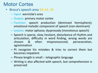 Motor Cortex
• Broca’s speech area BA 44, 45
   – Input: wernicke’s area
   – Output: primary motor cortex
   – Function: speech production (dominant hemisphere);
     emotional melodic component of speech (non-dominant)
   – Lesions: motor aphasia; dysprosody (monotonus speech)
   – Speech is sparse, slow, hesitant, disturbance of rhythm and
     articulation, difficulty in word finding, wrong words are
     chosen & often mispronounced, perseveration,
     agrammatism
   – Pt recognize his mistakes & tries to correct them but
     becomes impatient
   – Phrase length is small :- telegraphic language
   – Writing is also affected with speech, but comprehension is
     preserved
 