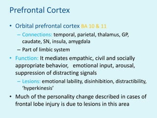 Prefrontal Cortex
• Orbital prefrontal cortex BA 10 & 11
   – Connections: temporal, parietal, thalamus, GP,
     caudate, SN, insula, amygdala
   – Part of limbic system
• Function: It mediates empathic, civil and socially
  appropriate behavior, emotional input, arousal,
  suppression of distracting signals
   – Lesions: emotional lability, disinhibition, distractibility,
     ‘hyperkinesis’
• Much of the personality change described in cases of
  frontal lobe injury is due to lesions in this area
 