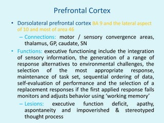 Prefrontal Cortex
• Dorsolateral prefrontal cortex BA 9 and the lateral aspect
  of 10 and most of area 46
   – Connections: motor / sensory convergence areas,
     thalamus, GP, caudate, SN
• Functions: executive functioning include the integration
  of sensory information, the generation of a range of
  response alternatives to environmental challenges, the
  selection of the most appropriate response,
  maintenance of task set, sequential ordering of data,
  self-evaluation of performance and the selection of a
  replacement responses if the first applied response fails
  monitors and adjusts behavior using ‘working memory’
   – Lesions: executive function deficit, apathy,
     aspontaneity and impoverished & stereotyped
     thought process
 