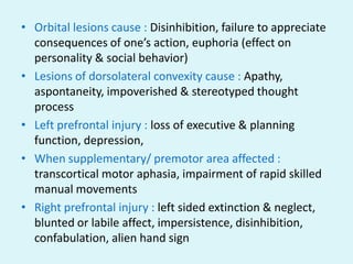 • Orbital lesions cause : Disinhibition, failure to appreciate
  consequences of one’s action, euphoria (effect on
  personality & social behavior)
• Lesions of dorsolateral convexity cause : Apathy,
  aspontaneity, impoverished & stereotyped thought
  process
• Left prefrontal injury : loss of executive & planning
  function, depression,
• When supplementary/ premotor area affected :
  transcortical motor aphasia, impairment of rapid skilled
  manual movements
• Right prefrontal injury : left sided extinction & neglect,
  blunted or labile affect, impersistence, disinhibition,
  confabulation, alien hand sign
 