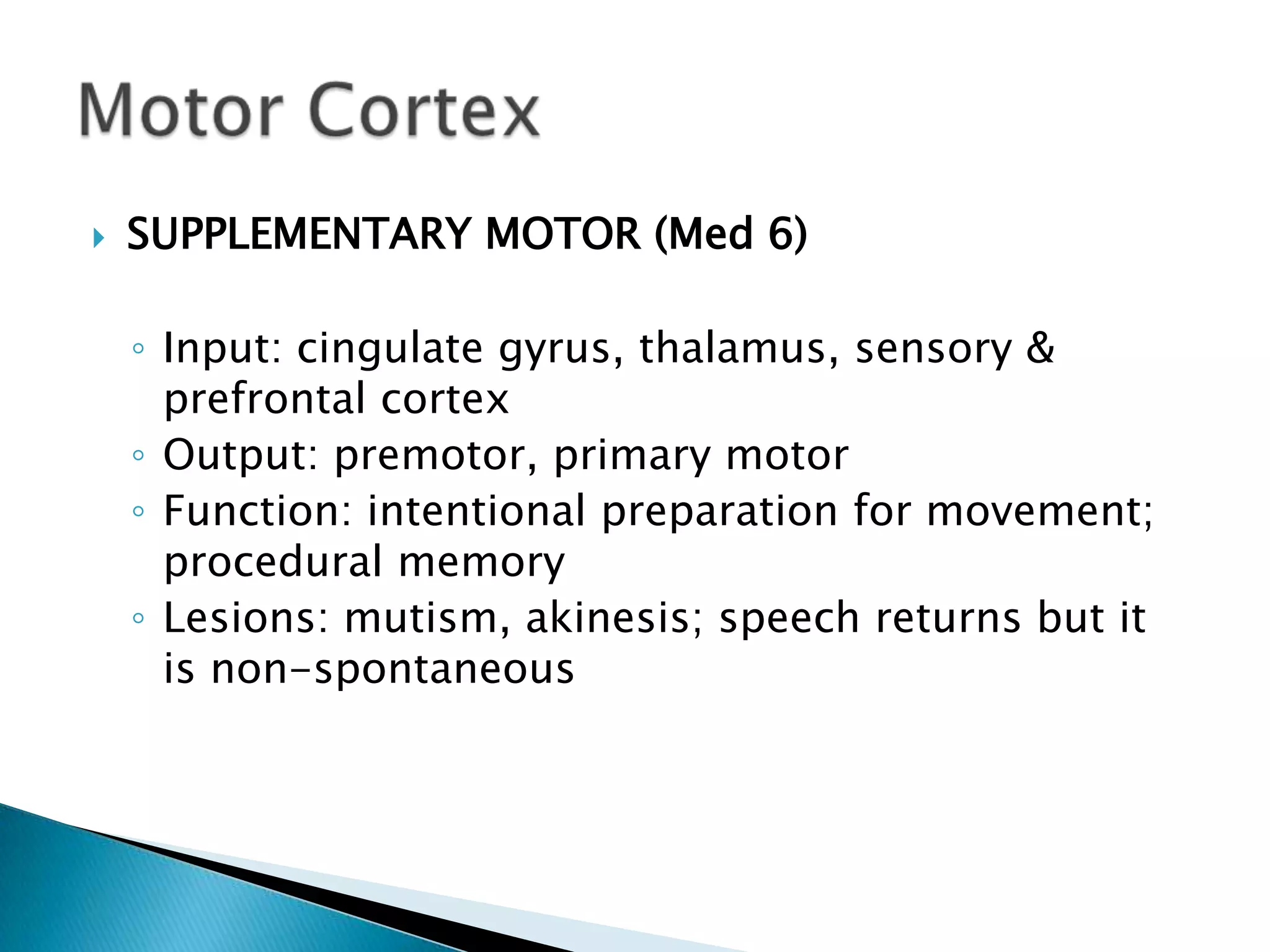    SUPPLEMENTARY MOTOR (Med 6)

    ◦ Input: cingulate gyrus, thalamus, sensory &
      prefrontal cortex
    ◦ Output: premotor, primary motor
    ◦ Function: intentional preparation for movement;
      procedural memory
    ◦ Lesions: mutism, akinesis; speech returns but it
      is non-spontaneous
 