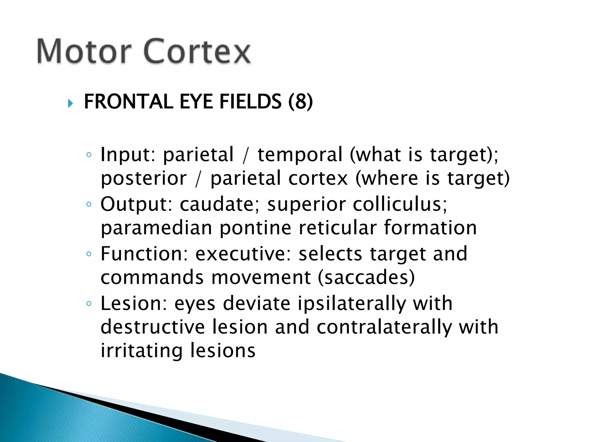    FRONTAL EYE FIELDS (8)

    ◦ Input: parietal / temporal (what is target);
      posterior / parietal cortex (where is target)
    ◦ Output: caudate; superior colliculus;
      paramedian pontine reticular formation
    ◦ Function: executive: selects target and
      commands movement (saccades)
    ◦ Lesion: eyes deviate ipsilaterally with
      destructive lesion and contralaterally with
      irritating lesions
 
