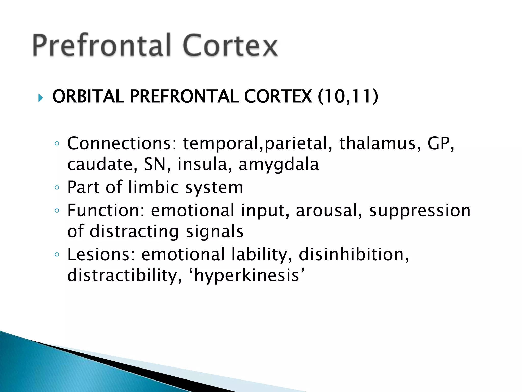   ORBITAL PREFRONTAL CORTEX (10,11)

    ◦ Connections: temporal,parietal, thalamus, GP,
      caudate, SN, insula, amygdala
    ◦ Part of limbic system
    ◦ Function: emotional input, arousal, suppression
      of distracting signals
    ◦ Lesions: emotional lability, disinhibition,
      distractibility, „hyperkinesis‟
 