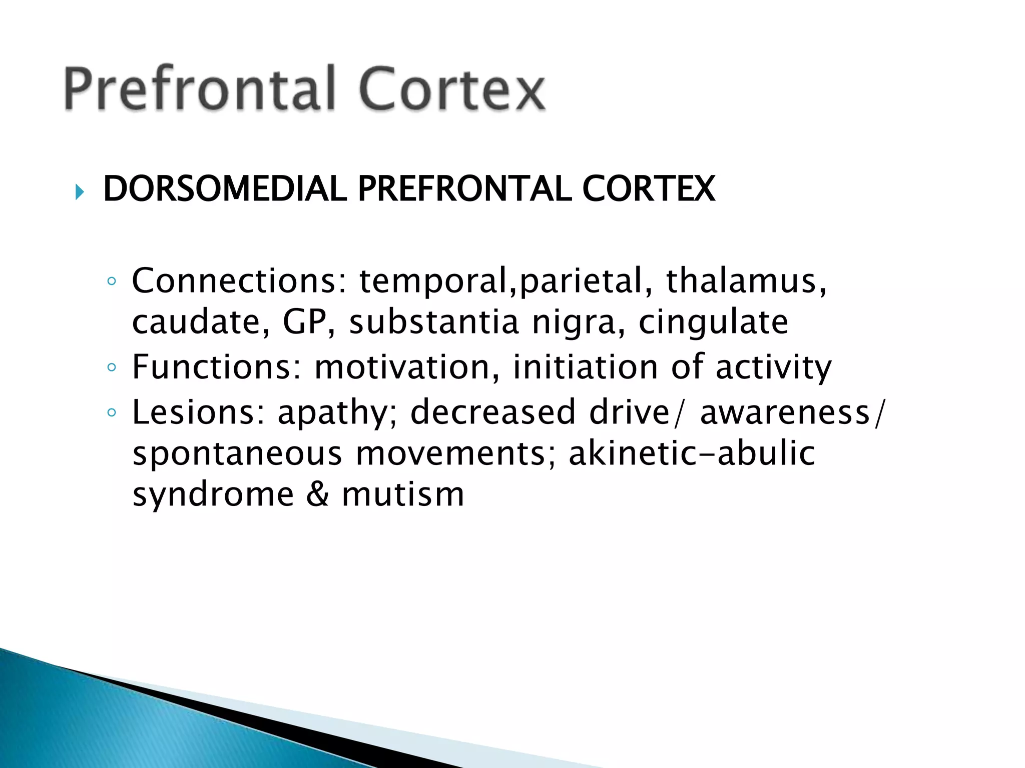    DORSOMEDIAL PREFRONTAL CORTEX

    ◦ Connections: temporal,parietal, thalamus,
      caudate, GP, substantia nigra, cingulate
    ◦ Functions: motivation, initiation of activity
    ◦ Lesions: apathy; decreased drive/ awareness/
      spontaneous movements; akinetic-abulic
      syndrome & mutism
 