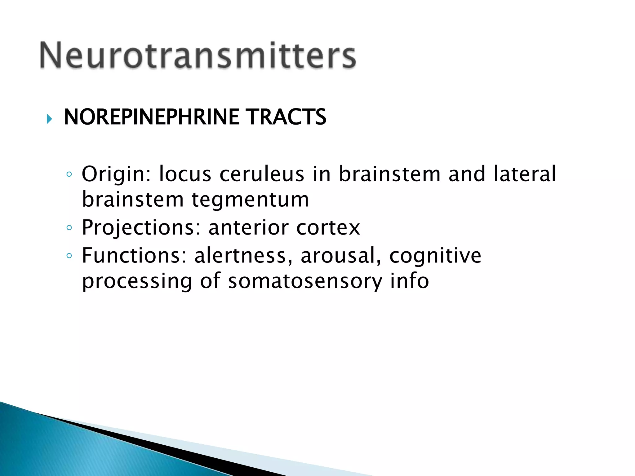    NOREPINEPHRINE TRACTS

    ◦ Origin: locus ceruleus in brainstem and lateral
      brainstem tegmentum
    ◦ Projections: anterior cortex
    ◦ Functions: alertness, arousal, cognitive
      processing of somatosensory info
 