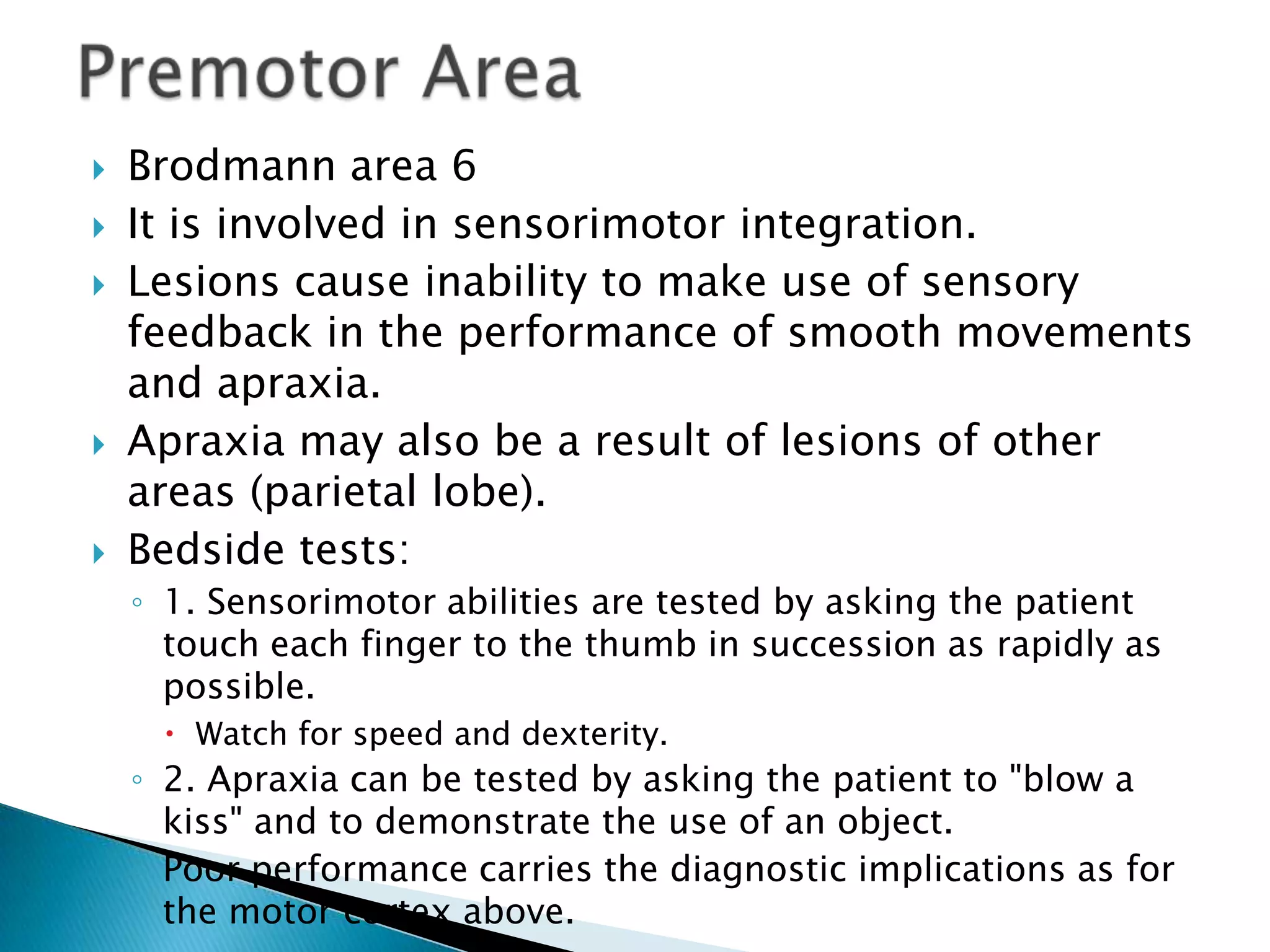    Brodmann area 6
   It is involved in sensorimotor integration.
   Lesions cause inability to make use of sensory
    feedback in the performance of smooth movements
    and apraxia.
   Apraxia may also be a result of lesions of other
    areas (parietal lobe).
   Bedside tests:
    ◦ 1. Sensorimotor abilities are tested by asking the patient
      touch each finger to the thumb in succession as rapidly as
      possible.
      Watch for speed and dexterity.
    ◦ 2. Apraxia can be tested by asking the patient to "blow a
      kiss" and to demonstrate the use of an object.
    ◦ Poor performance carries the diagnostic implications as for
      the motor cortex above.
 