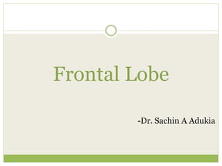Frontal Lobe
-Dr. Sachin A Adukia
 